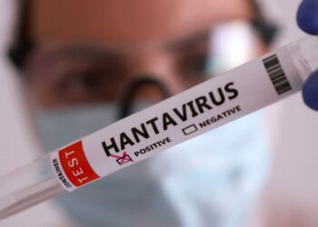 Duas pessoas retiradas de navio testam positivo para o hantavírus