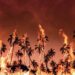 Metal cancerígeno ficou no ar meses após incêndios em Los Angeles